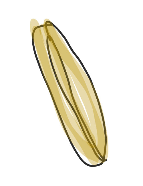 illustration of baguette